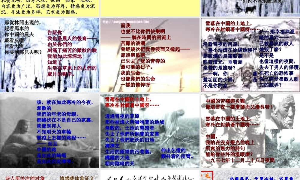 高中语文雪落在中国的土地上课件2 粤教版 必修2 课件