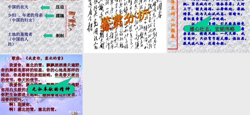 高中语文雪落在中国的土地上课件2 粤教版 必修2 课件