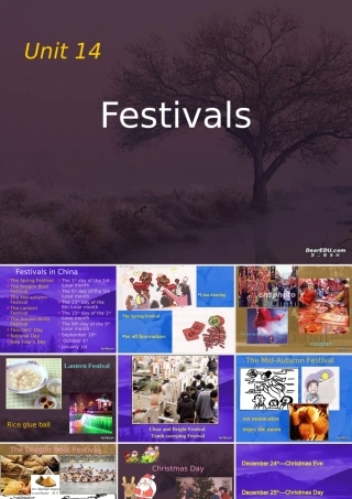 高一英语Unit14 Festivals 新课标 人教版 课件