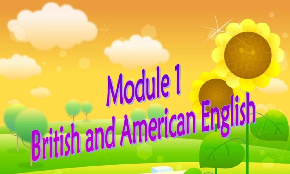 高中英语 Module1(British and American Englishcorner)Grammar课件1 外研版必修5 课件