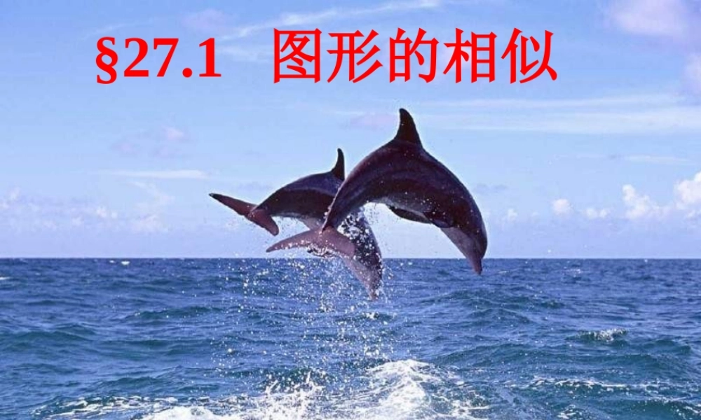 27.1(1)图形的相似