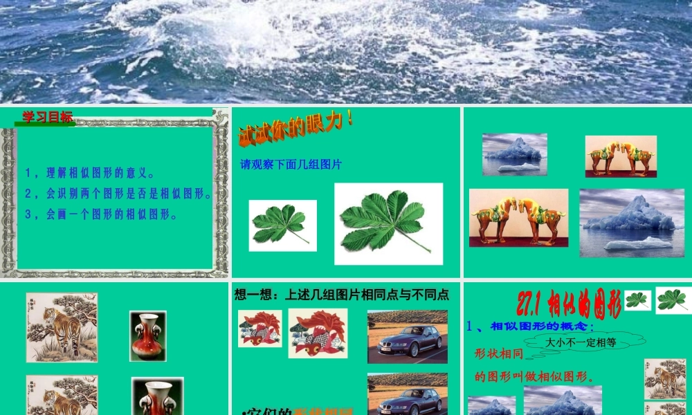 27.1(1)图形的相似