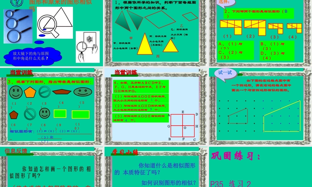27.1(1)图形的相似