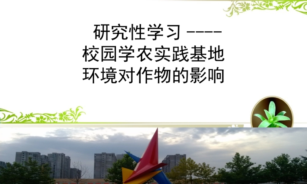 4.走进社会实践基地