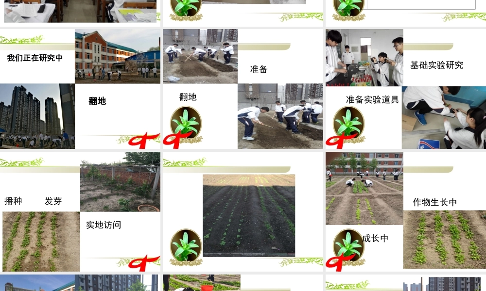 4.走进社会实践基地