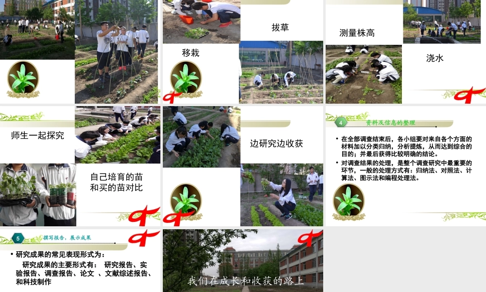 4.走进社会实践基地