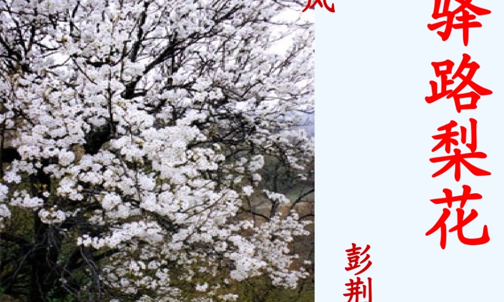 (部编)初中语文人教2011课标版七年级下册《驿路梨花》-(11)