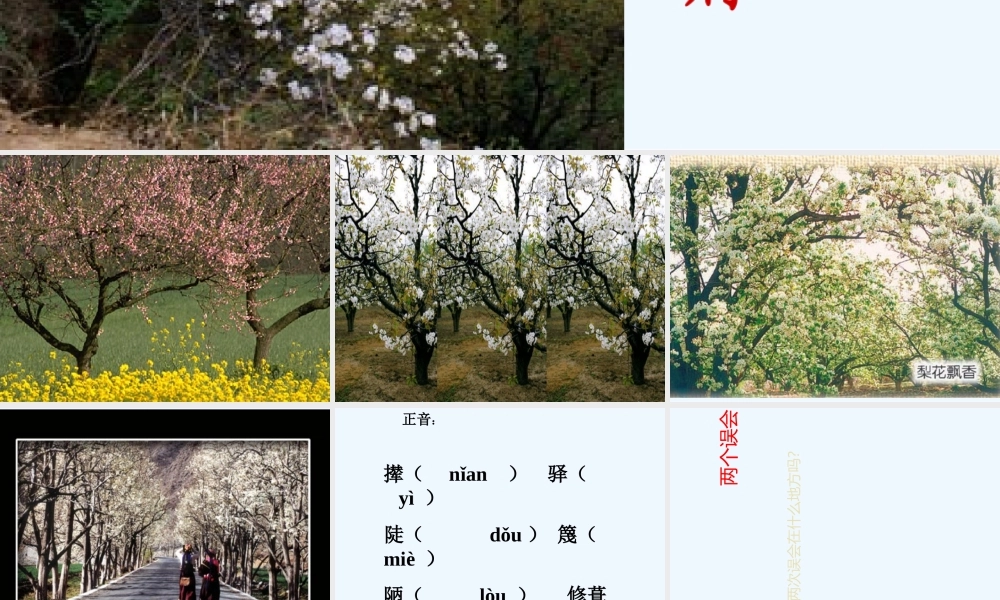 (部编)初中语文人教2011课标版七年级下册《驿路梨花》-(11)