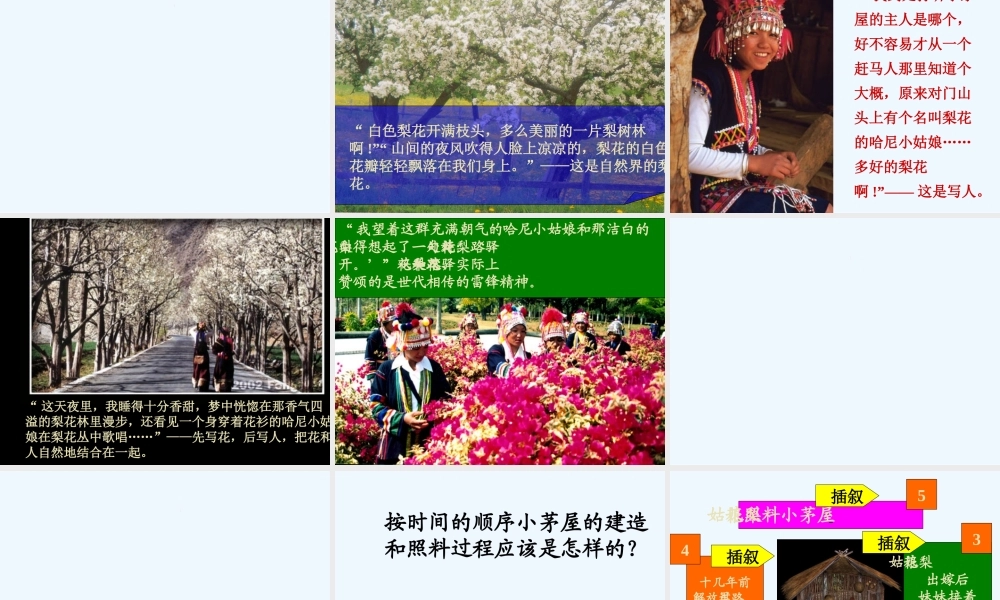 (部编)初中语文人教2011课标版七年级下册《驿路梨花》-(11)