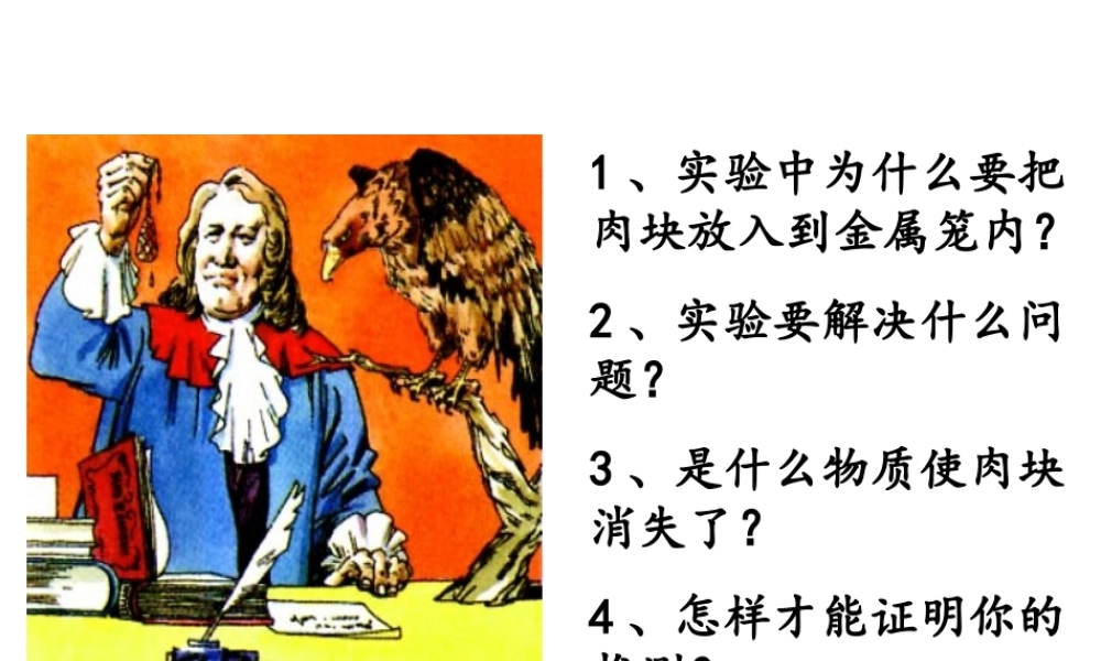 探究酶的高效性(实验)