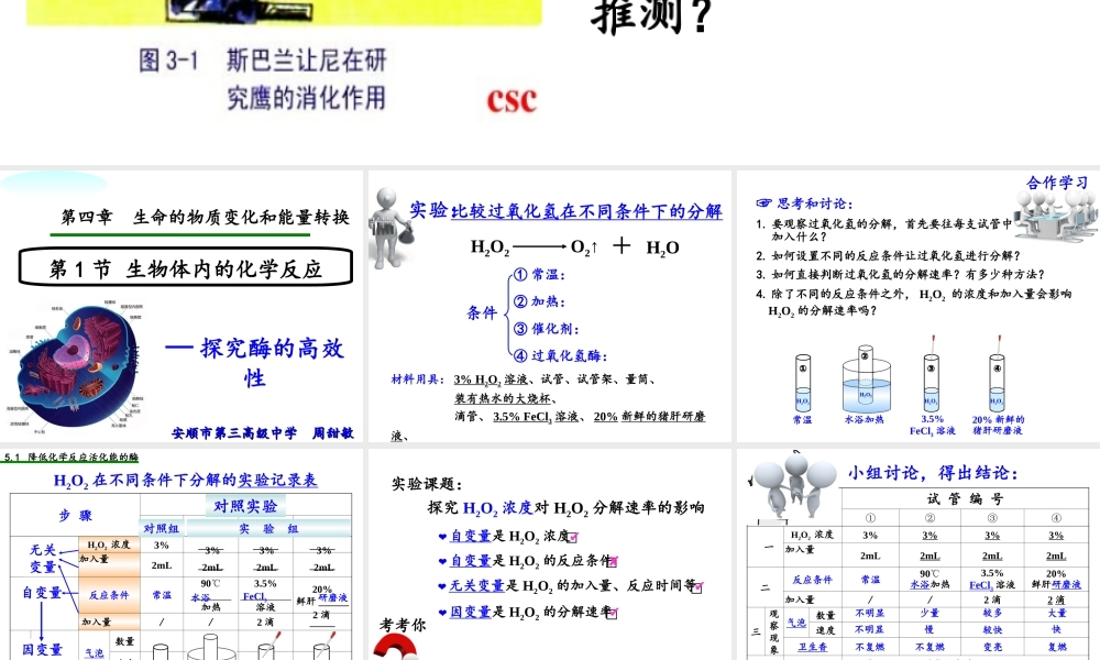探究酶的高效性(实验)