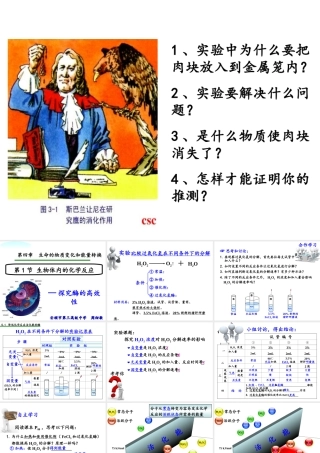 探究酶的高效性(实验)