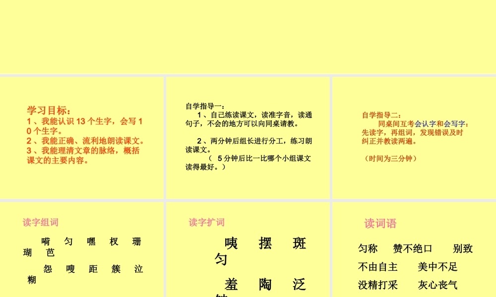 爱美的梅花鹿