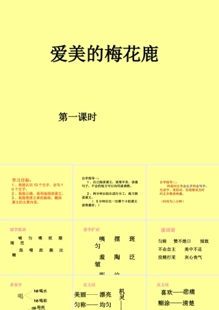 爱美的梅花鹿