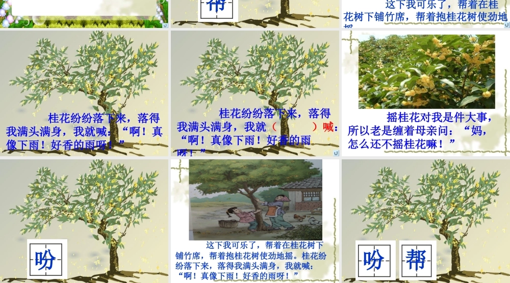 1376《桂花雨》-(3)