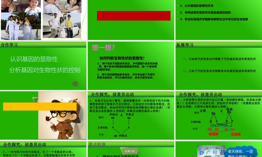 第1节生物的遗传