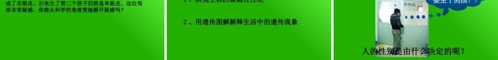 第1节生物的遗传