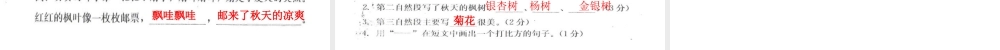大显身手(第3单元)