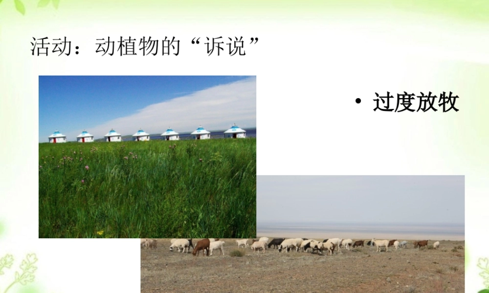 活动一：动植物的“诉说“