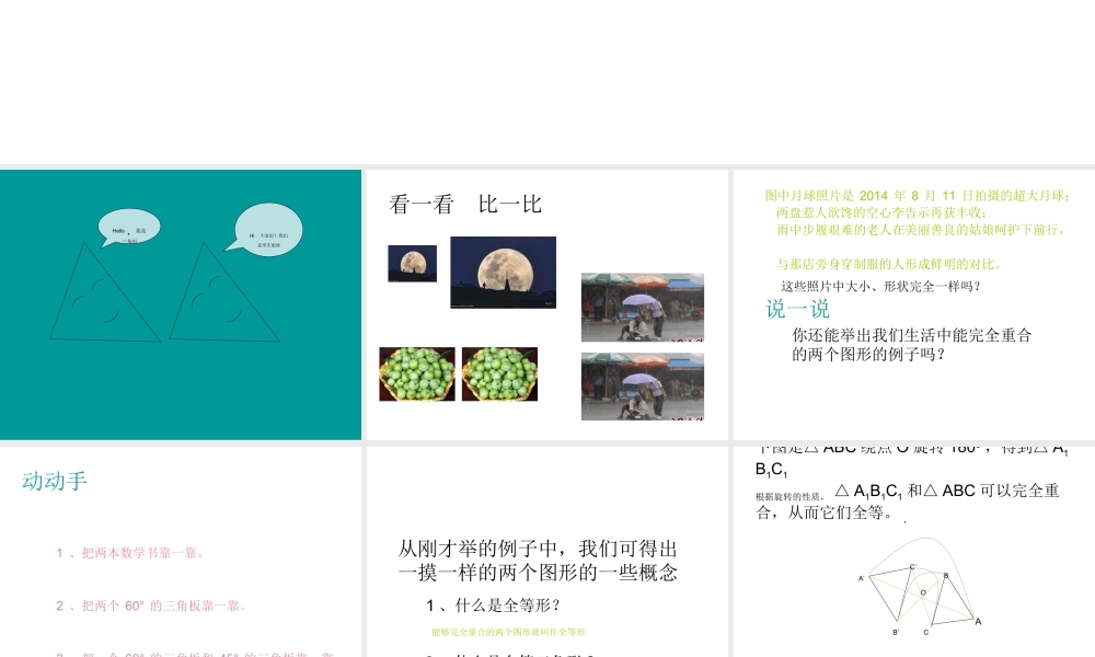 信息技术的应用冯小伟