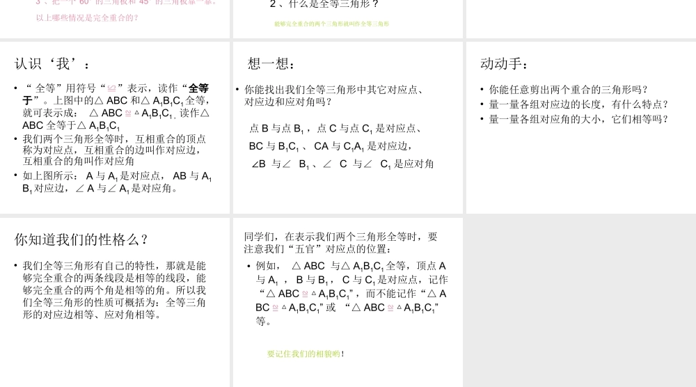 信息技术的应用冯小伟