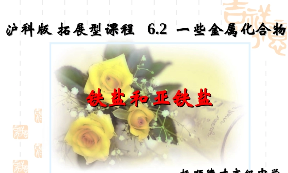 铁盐和亚铁盐-(2)