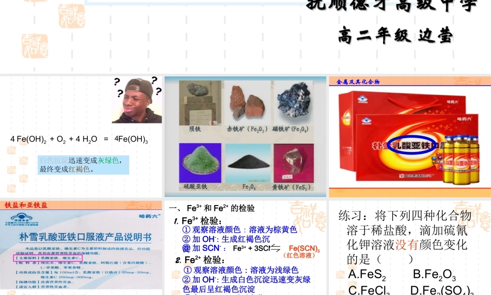 铁盐和亚铁盐-(2)