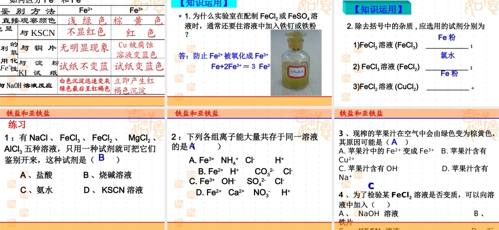 铁盐和亚铁盐-(2)