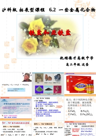 铁盐和亚铁盐-(2)