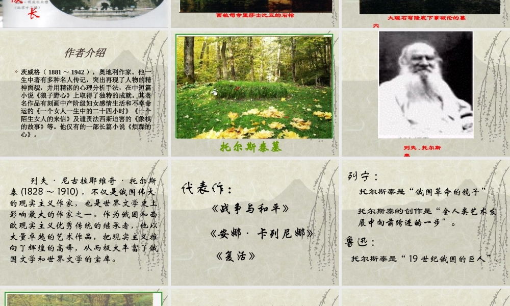 《世间最美的坟墓》课件