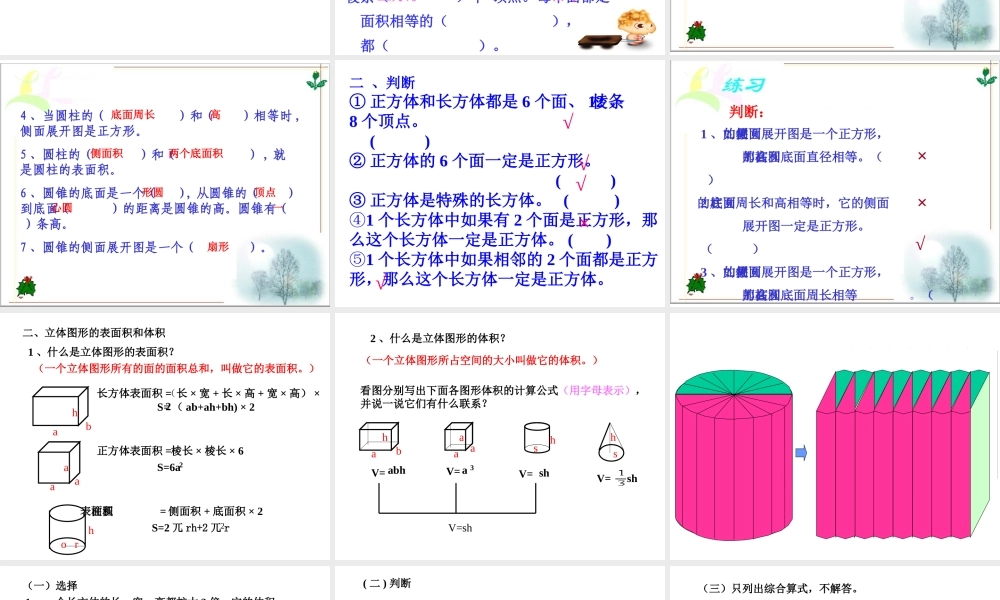 总复习立体图形1