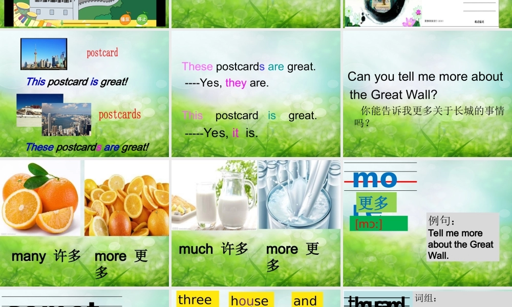 Unit1It'smorethantwentythousandkilometreslong.-(4)