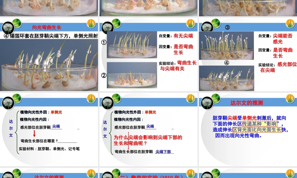 一植物的应激性