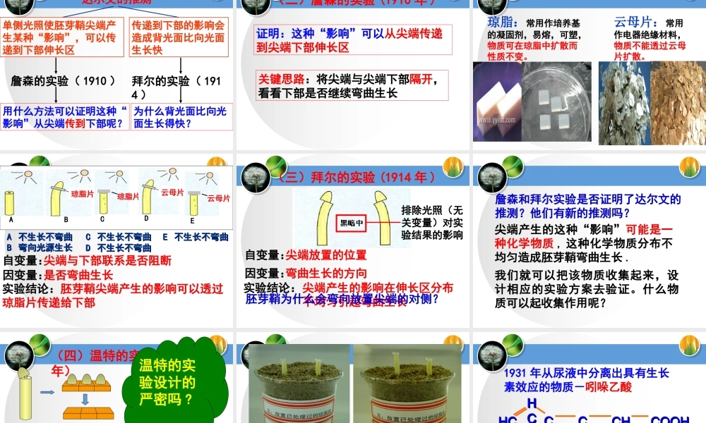 一植物的应激性