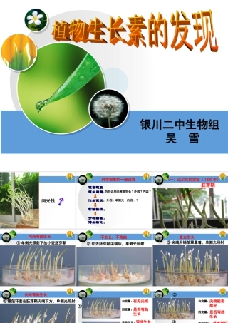一植物的应激性