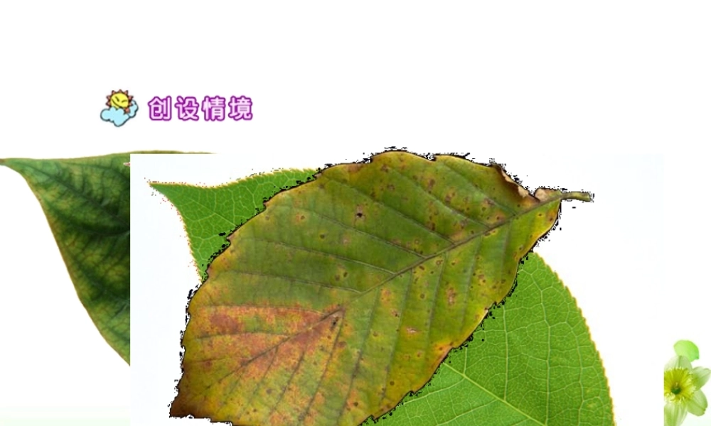 第19课《蓝色的树叶》