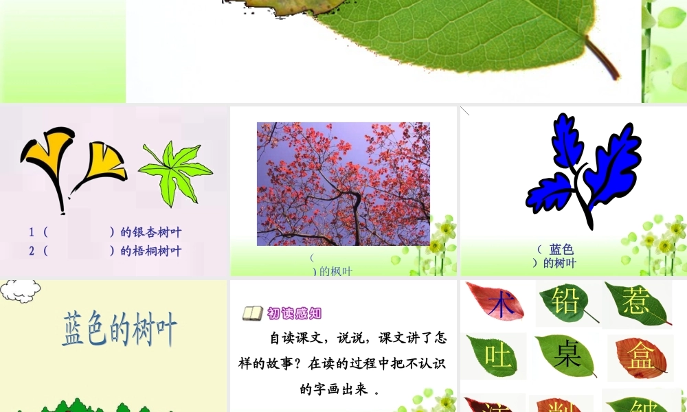 第19课《蓝色的树叶》