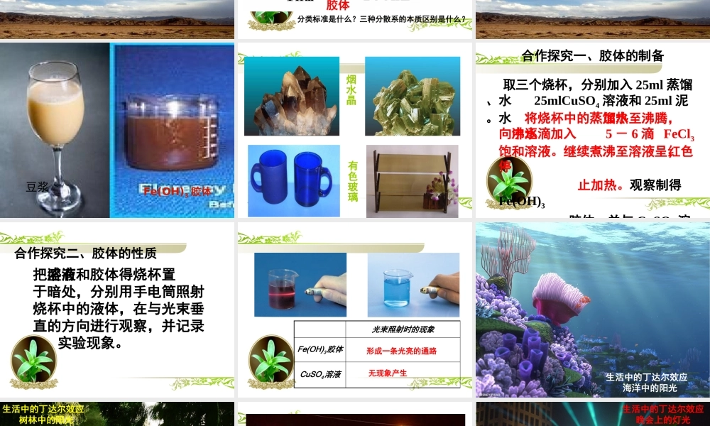 第一节、物质的分类赛课课件