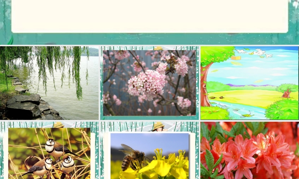 《小树谣》课件(语文S版一年级下册课件)