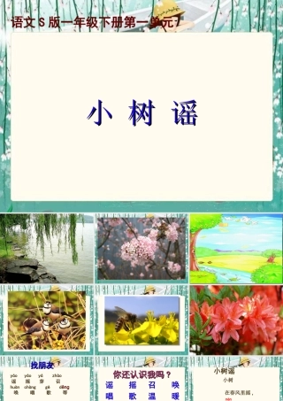 《小树谣》课件(语文S版一年级下册课件)
