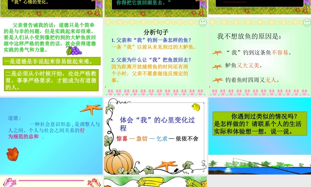 《钓鱼的启示》ppt课件8