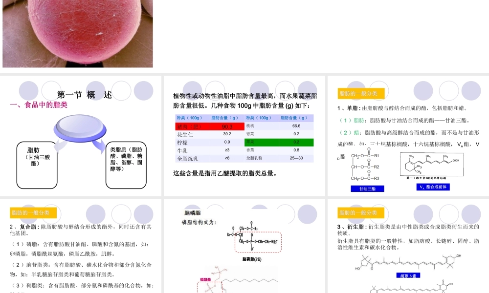 4.3-食品中的脂肪及测定