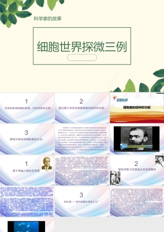 科学家的故事-细胞世界探微三例-(2)
