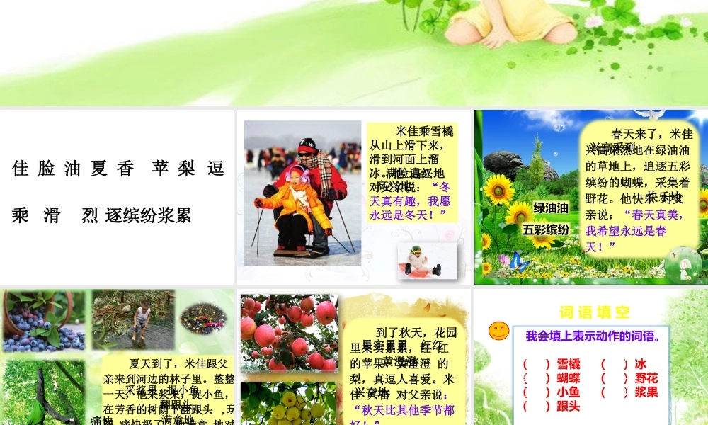 《5米佳的愿望》课件