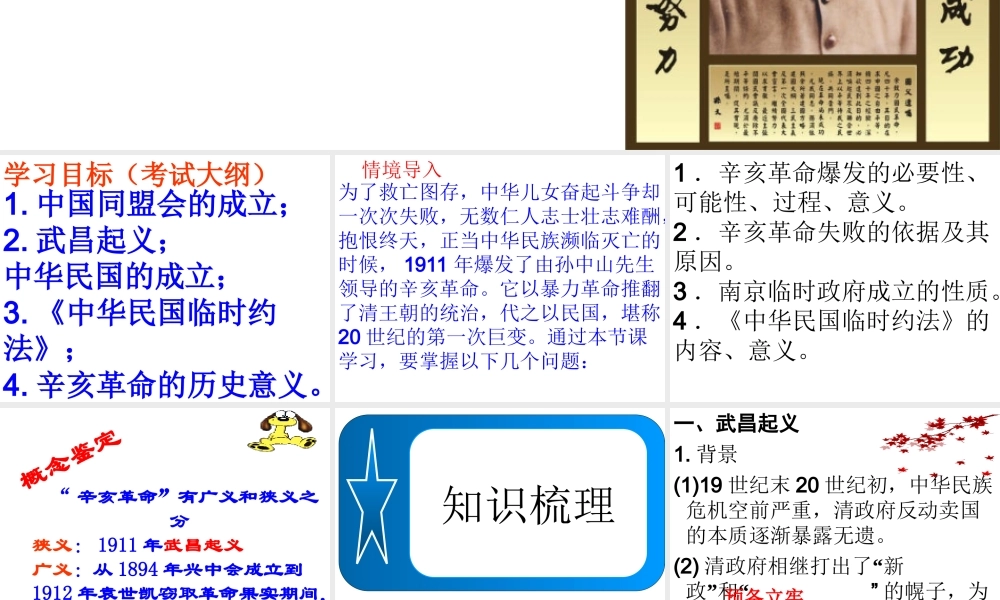 辛亥革命(许江华)