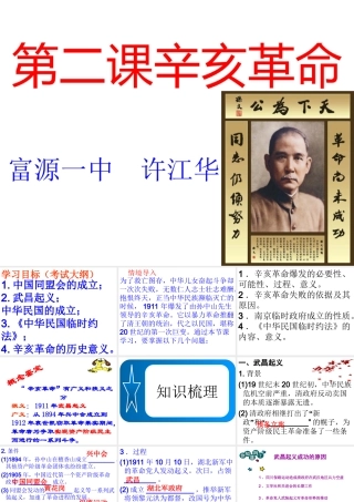 辛亥革命(许江华)
