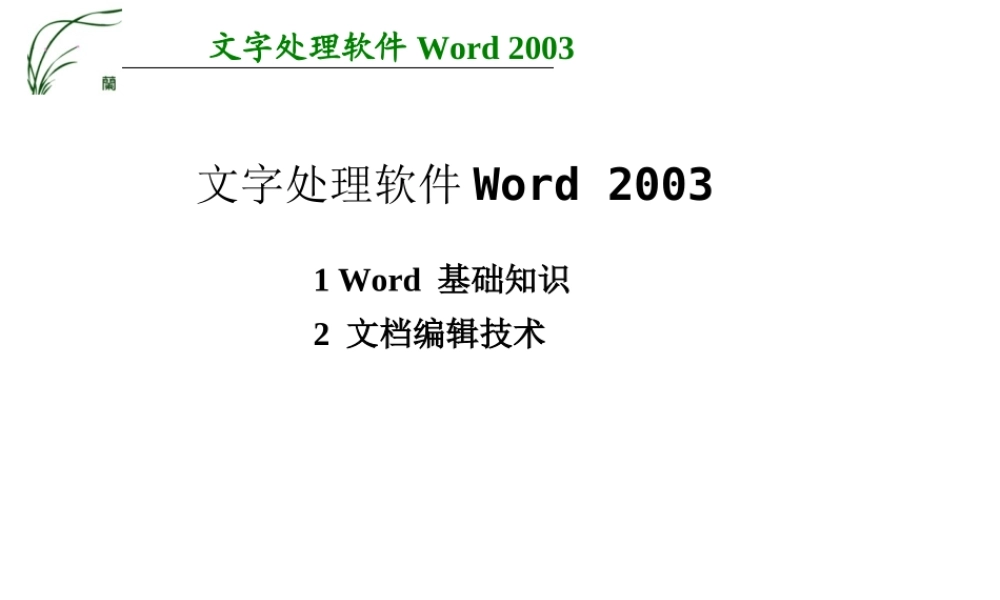 Word-2003课件