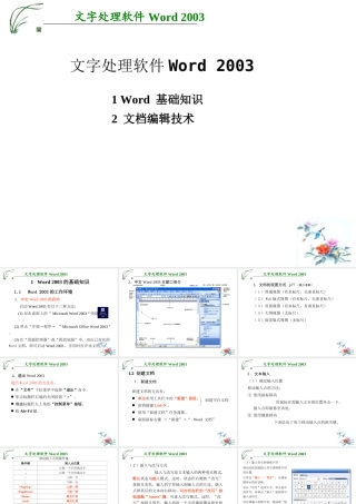 Word-2003课件