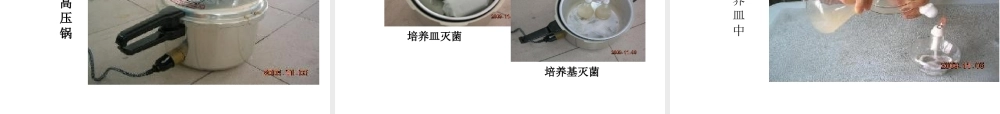 八年级生物---细菌和真菌的分布-PPT课件-(1)