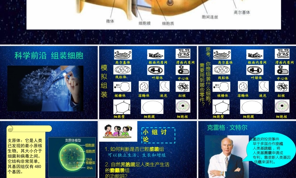 科学前沿组装细胞-(11)